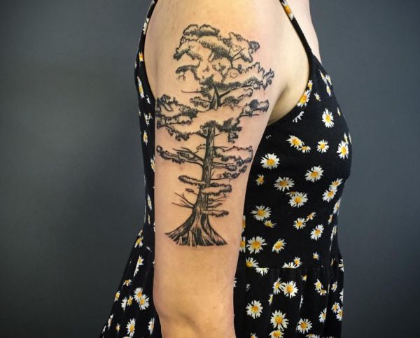 Cypress Baum am Oberarm