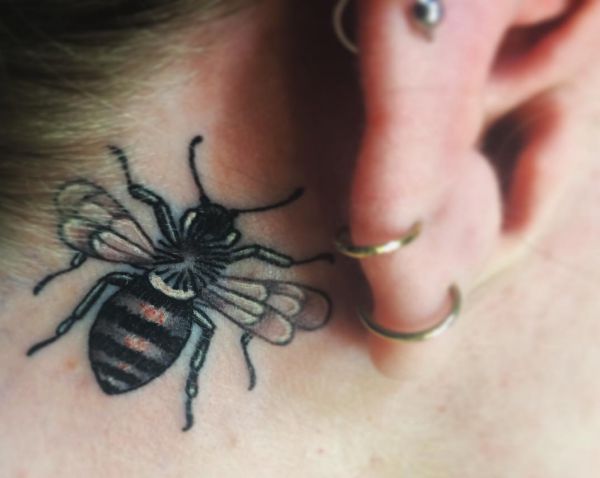 Bienen hinter dem Ohr
