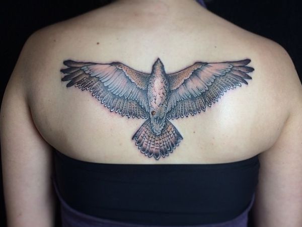 Falke Tattoo am Rücken für Frau