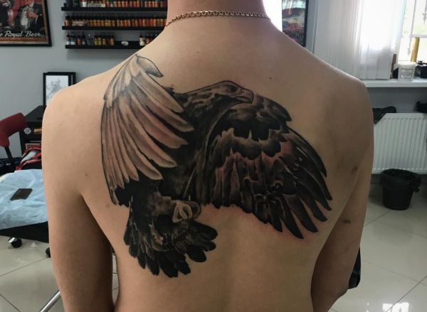 Falke Tattoo am Rücken