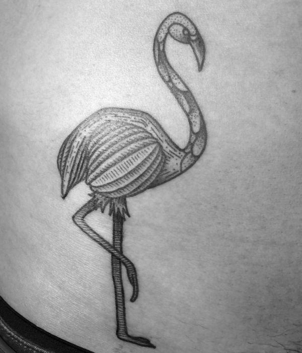 Flamingo Tattoo im Bauch der Männer