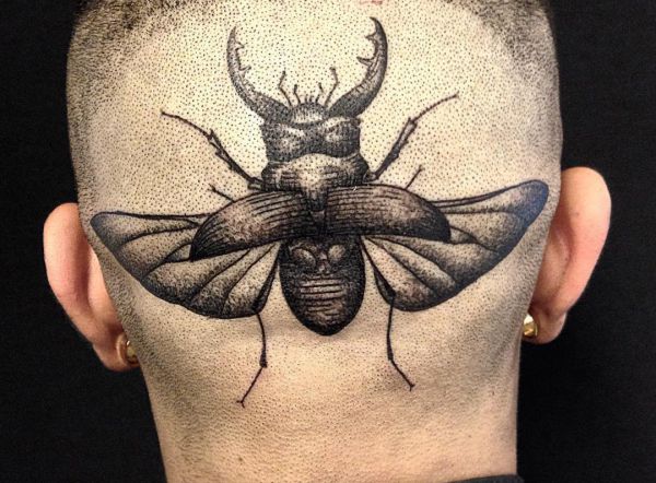 Käfer Design am Kopf