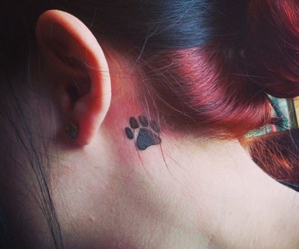Katzenpfoten Design hinter dem Ohr
