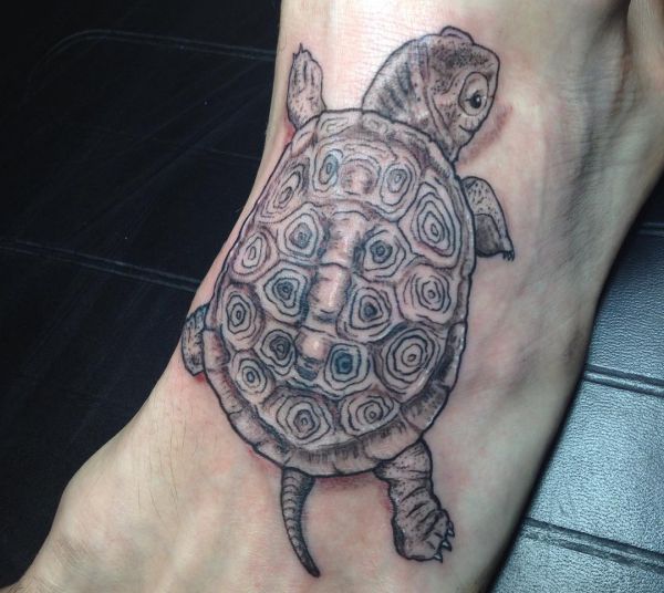Schildkröte Fuß Tattoo