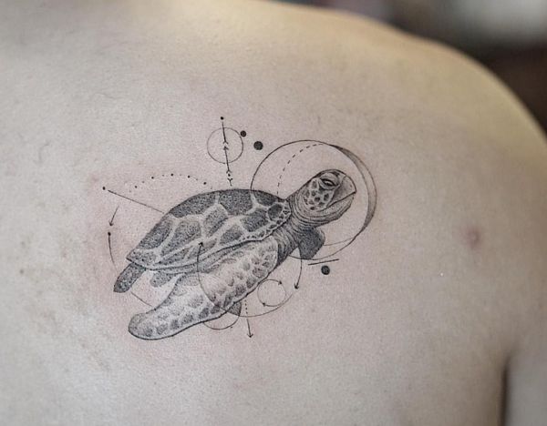 25 Schildkroten Tattoo Ideen Bilder Und Bedeutungen