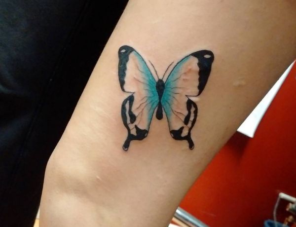 Schmetterlinge tattoo bedeutung kopfschuss Das umgedrehte