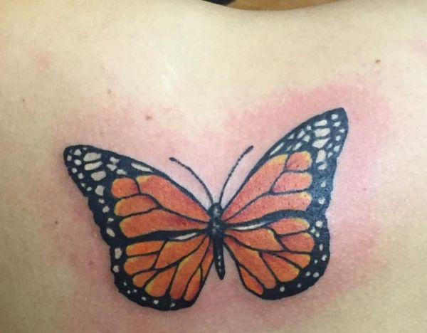 Monarch Schmetterling Tattoo am Schulterblatt