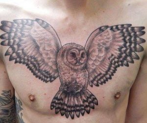 Eule Tattoo auf der Brust der Männer Oldschool