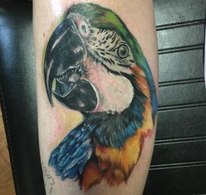 Papagei Tattoo auf der Bein