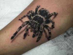 Vogelspinnen Tattoo am Unterarm