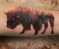 27 Büffel Tattoo Ideen – Bilder und Bedeutung