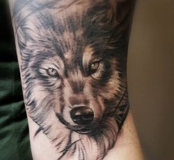 26 Wolf Tattoo Ideen – Bilder und Bedeutung