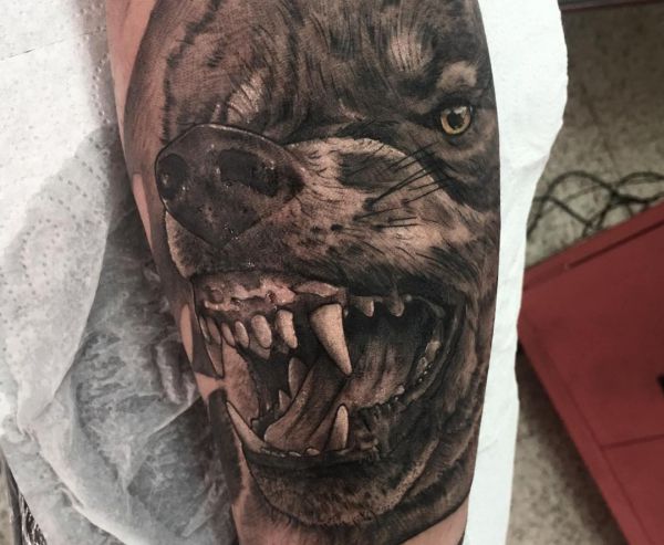 26 Wolf Tattoo Ideen Bilder Und Bedeutung
