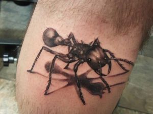Realistisch Ameisen auf dem Arm