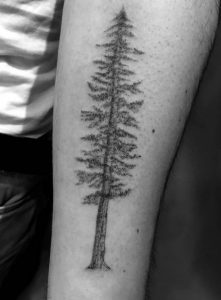Kiefer Baum Tattoo Design am Unterarm