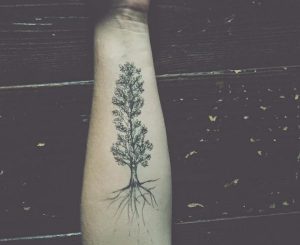 Pappeln Baum Tattoo am Unterarm