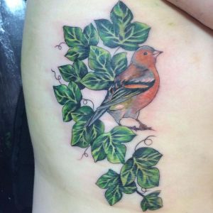 Efeu Tattoo Design mit Vogel am Rippenbogen