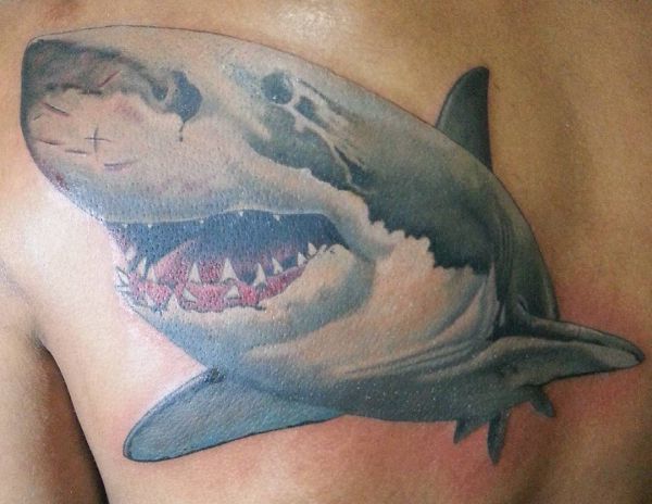 12 Fantastische Hai Tattoos und ihre Bedeutungen