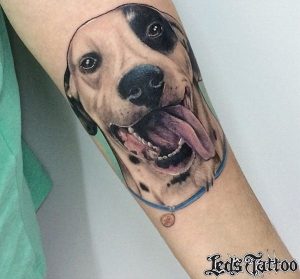 Hunde Realistisch auf dem Arm