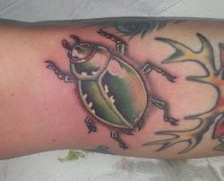 Käfer Design Grün auf der Bein
