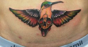Kolibri mit Totenkopf am Bauch