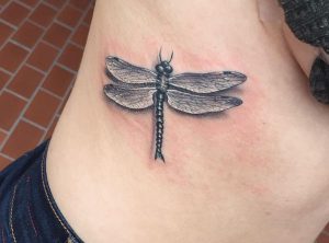 3D Libelle Tattoo am Rippenbogen