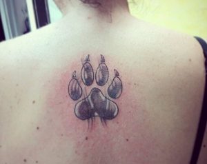 Katzenpfoten Tattoo Design am Rücken