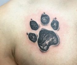 Hundepfoten Tattoo Design am Brust der Männer