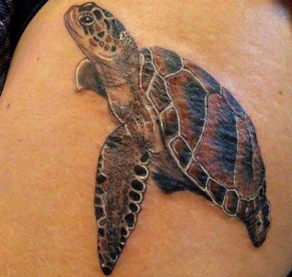 Schildkröten Realistisch Tattoo auf der Hüfte