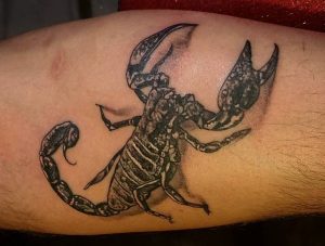 Skorpion Realistisch Tattoo am Unterarm