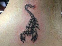 Kleiner Skorpion Design im Nacken