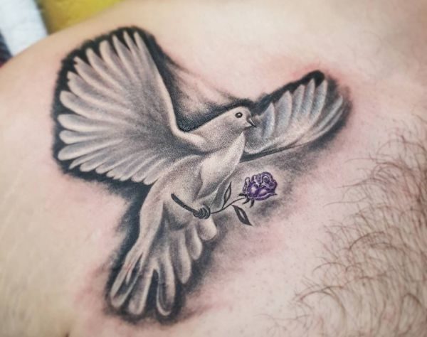 tauben vogel tattoomotive taube bedeutung friedenszeichen bedeutungen internationales pigeon blume kleines vorlagen schlüsselbein männer nexttattoos