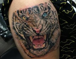 Realistisch Tiger Tattoo am Oberschenkel