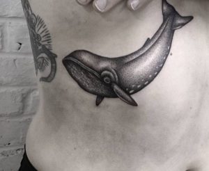 Wal am Brust schwarz und weiß