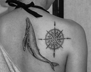 Wal mit Kompass am Rücken