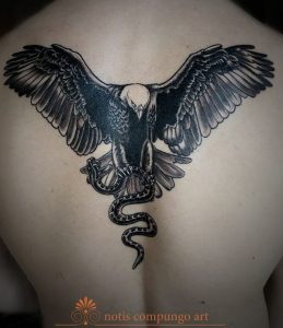 Weißkopfseeadler mit Schlange am Rücken